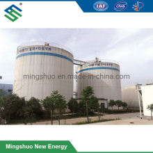 Anaerobic Digester for Biogas Plant Palm Oil Mill